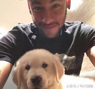 世界杯來了！讓我們扒一扒這些超級巨星們都在