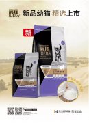 爵加新品幼貓精選上市！