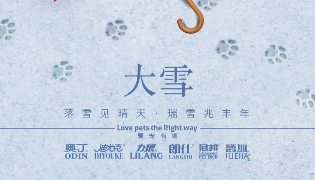 大雪丨雪落知寒意 久伴見(jiàn)初心！