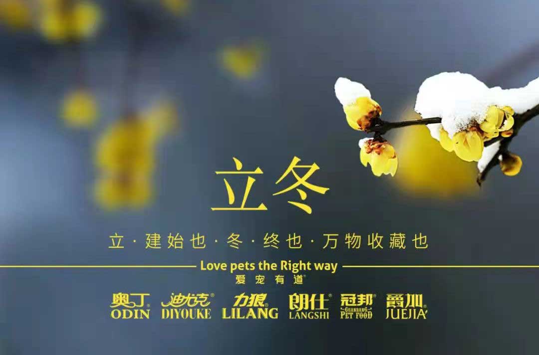 立冬丨冬寒初始，情暖愈濃