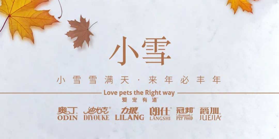 小雪丨天地初寒，歲月安暖